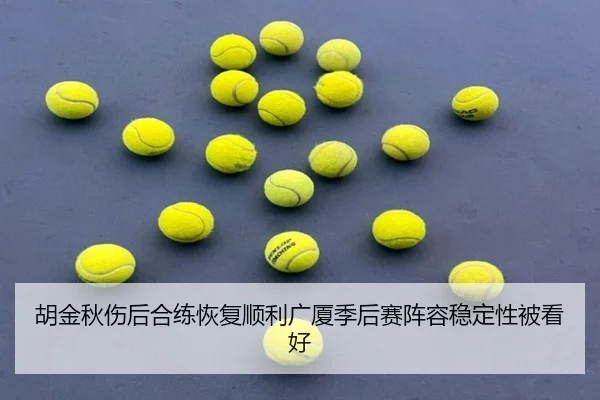 胡金秋伤后合练恢复顺利广厦季后赛阵容稳定性被看好